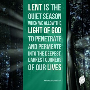 Light through the trees