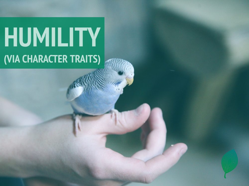 Humility – Matthew Root