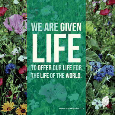 cc7eb932-0b3b-4879-9f05-b3f419074cff