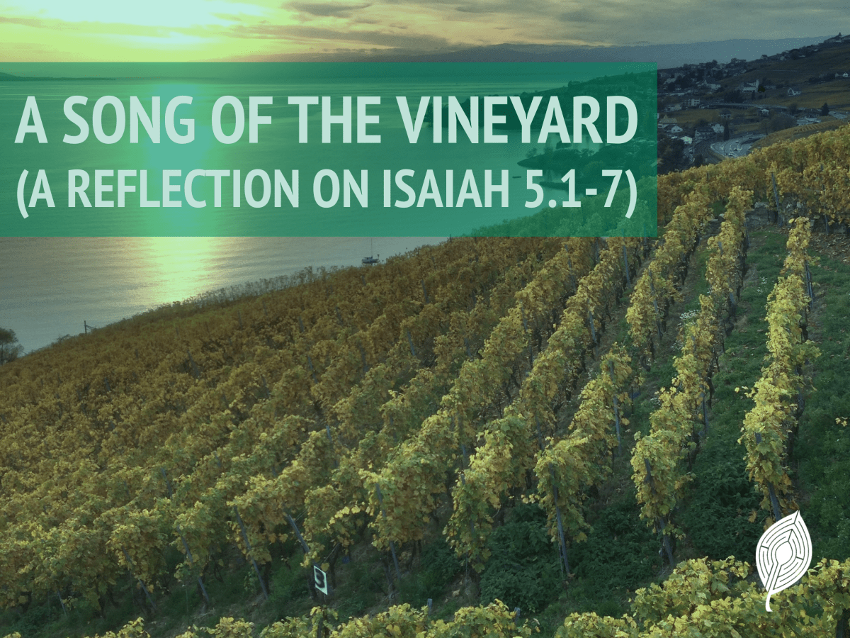 A Song of the Vineyard (A Reflection on Isaiah 5.1-7) – Matthew Root