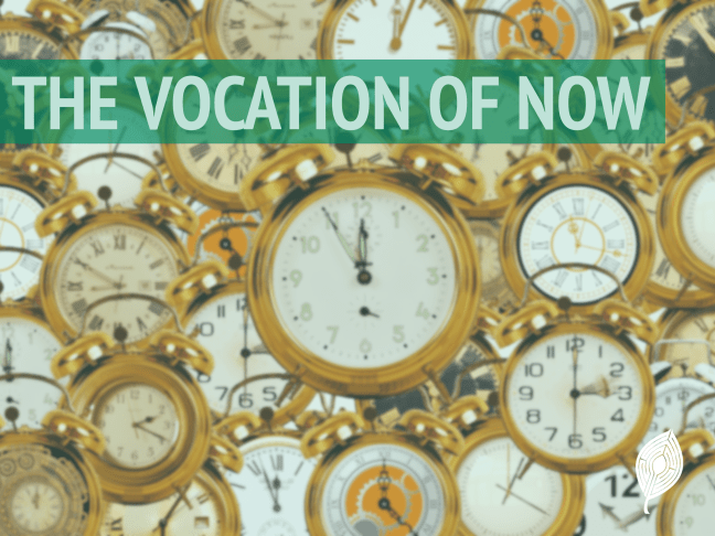 A table covered with pocket watches