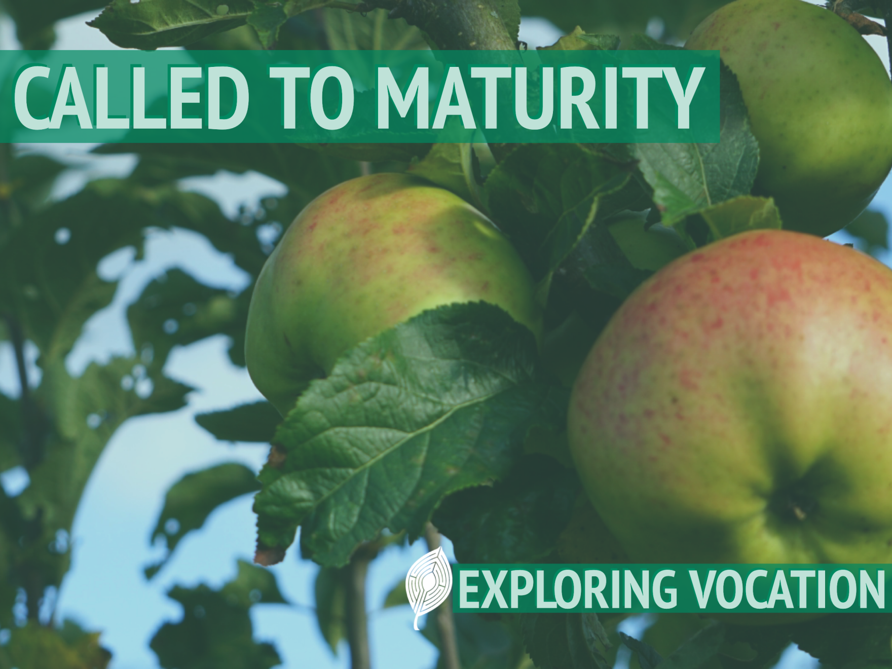 Called to Maturity [Revisited] – Matthew Root
