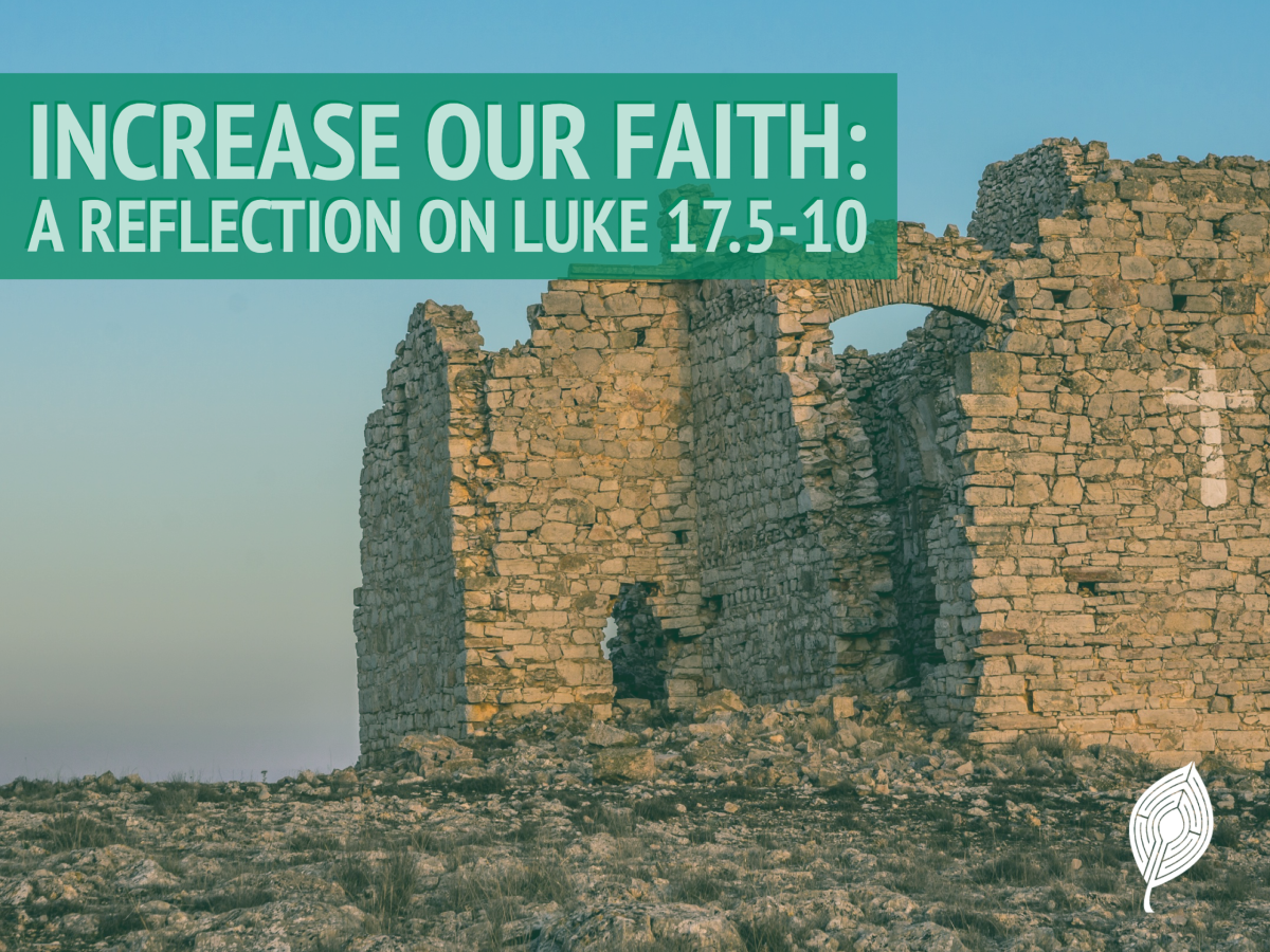 Increase Our Faith: A Reflection on Luke 17.5-10 – Matthew Root